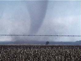 tornado on the ground