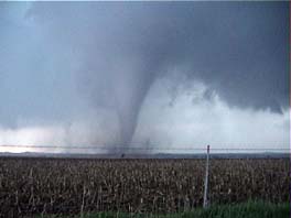 tornado with storm structure